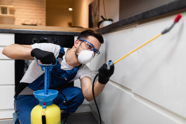Best Pest Inspection Near Me  in North Windham, ME