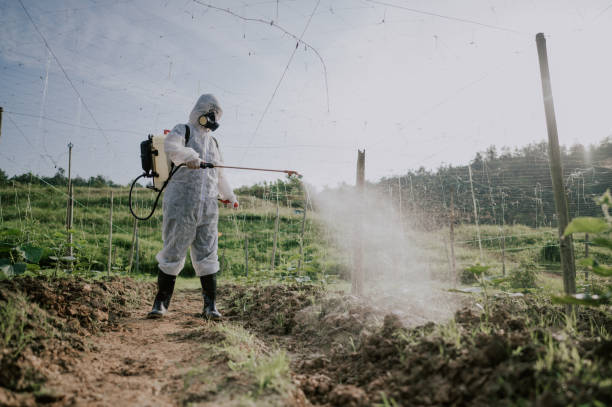 Best Ant Control Services  in North Windham, ME