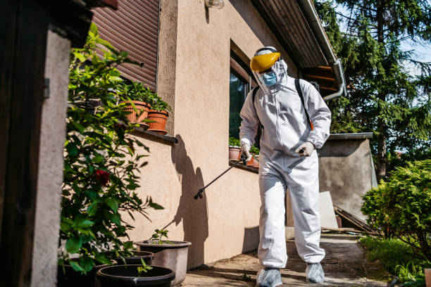 Wildlife Control Services in North Windham, ME