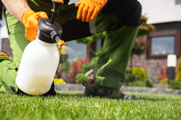 Best Best Pest Control Companies  in North Windham, ME