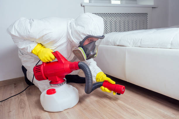 Reliable North Windham, ME Pest Control Solutions