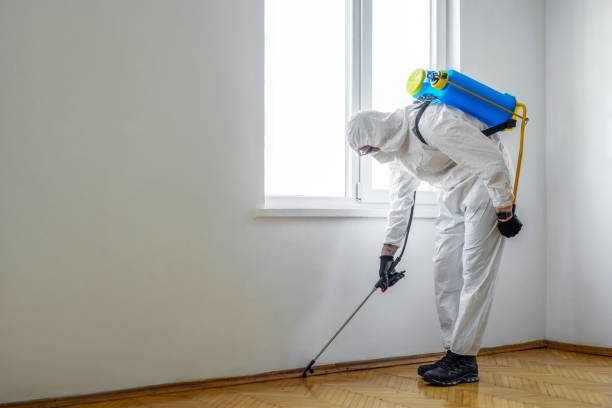 Best Pest Control for Businesses  in North Windham, ME