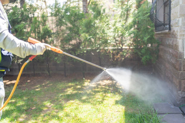 Best Affordable Pest Control Services  in North Windham, ME