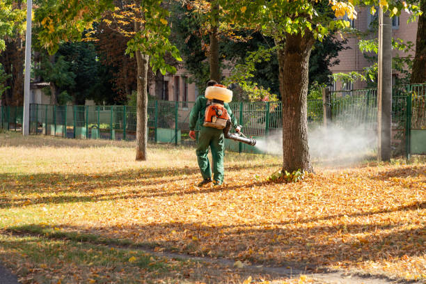 Best Best Pest Control Companies  in North Windham, ME