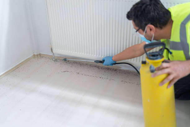 Best Pest Prevention Services  in North Windham, ME